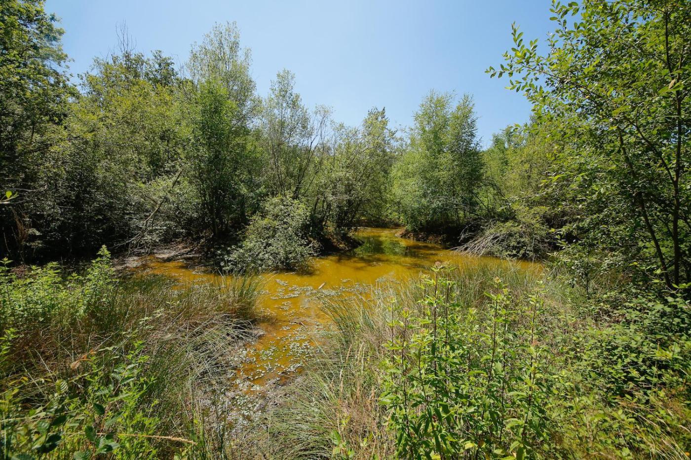 Domaine La Faix, Gite La Chouette Saint-Plaisir Экстерьер фото