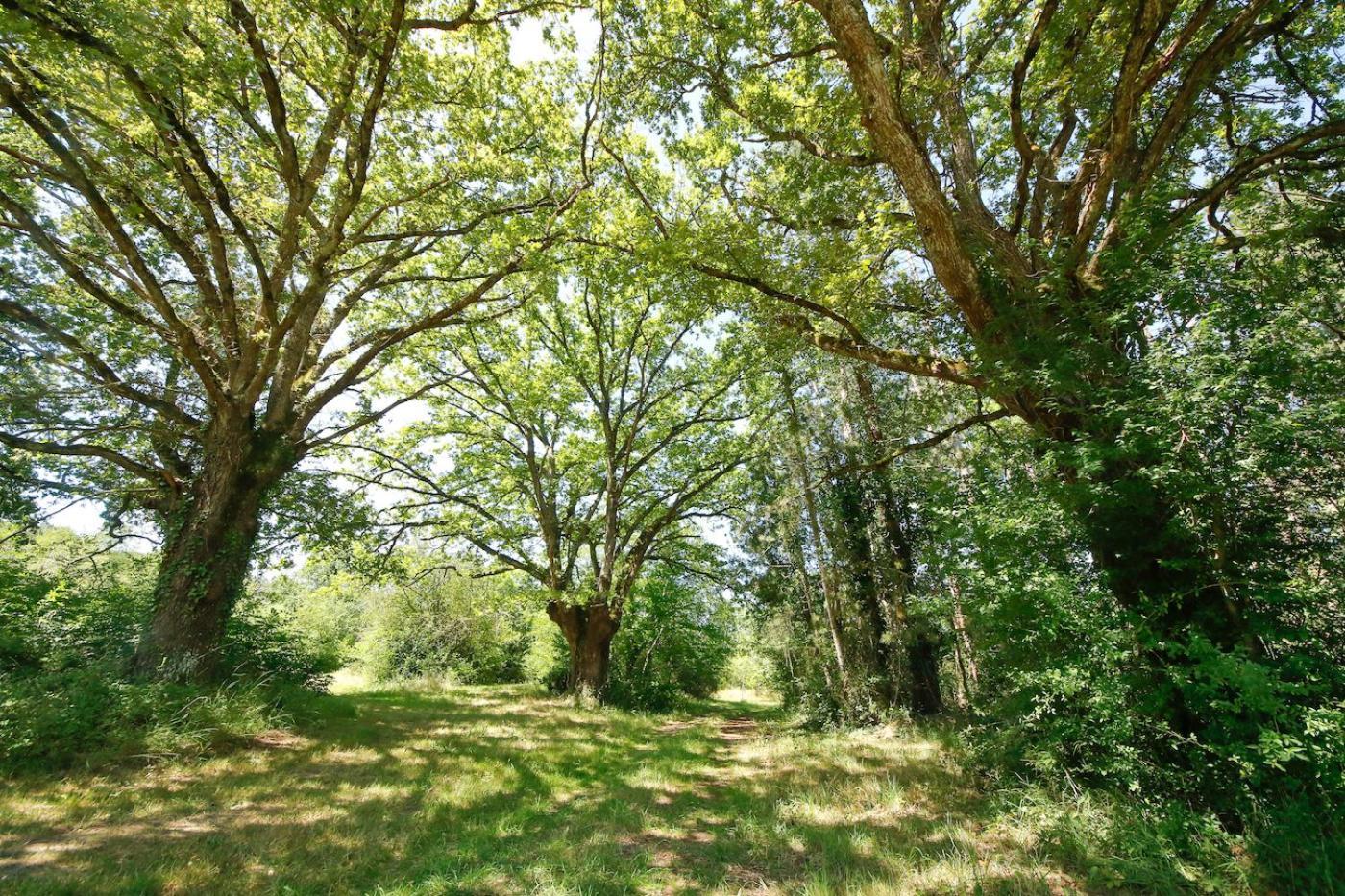 Domaine La Faix, Gite La Chouette Saint-Plaisir Экстерьер фото